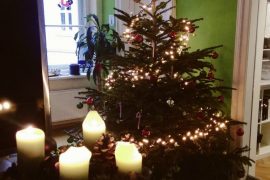 Weihnachten, Winter, Weihnachtsbaum