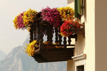 Sonniger Südbalkon mit Balkonpflanzen