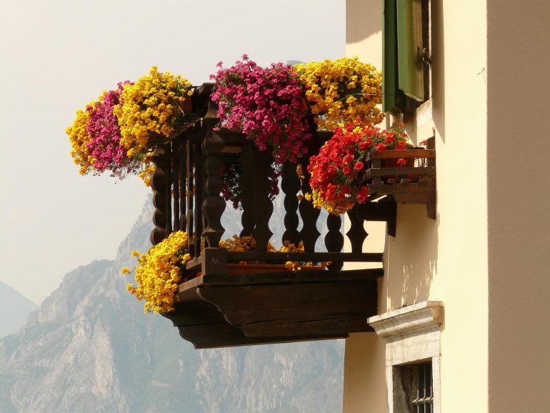 Sonniger Südbalkon mit Balkonpflanzen