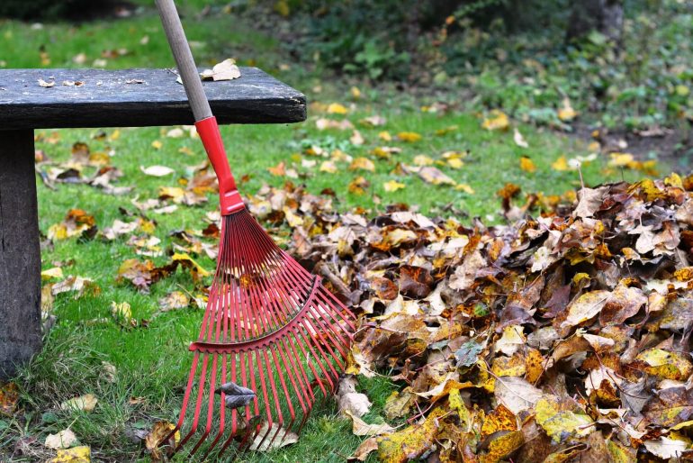 Gartenarbeit im September