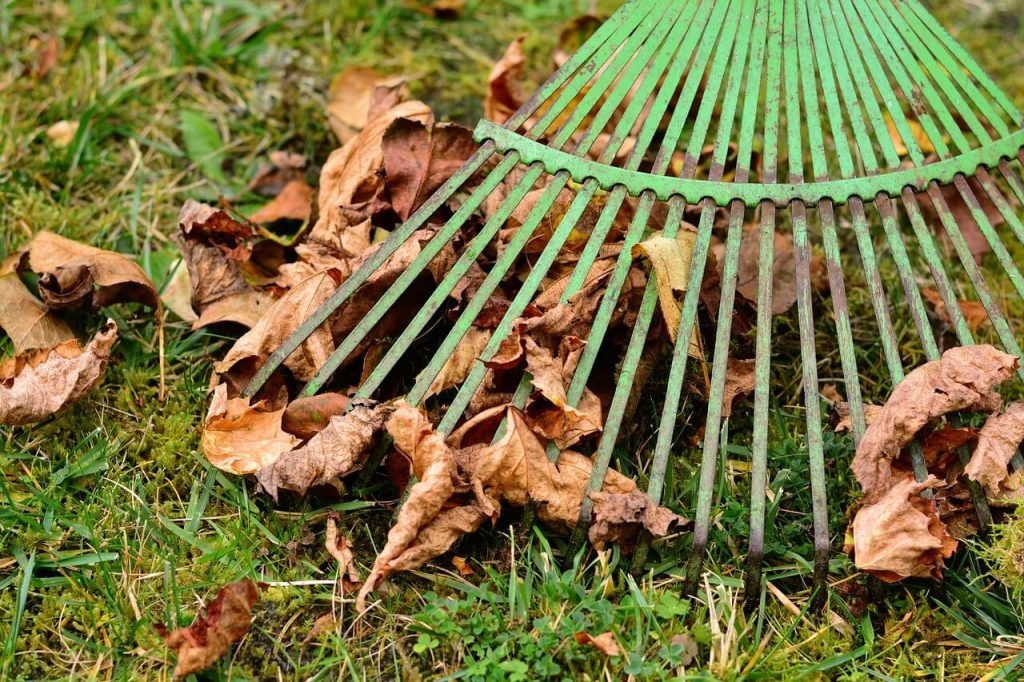 Gartenarbeit im Herbst: Laubrechen