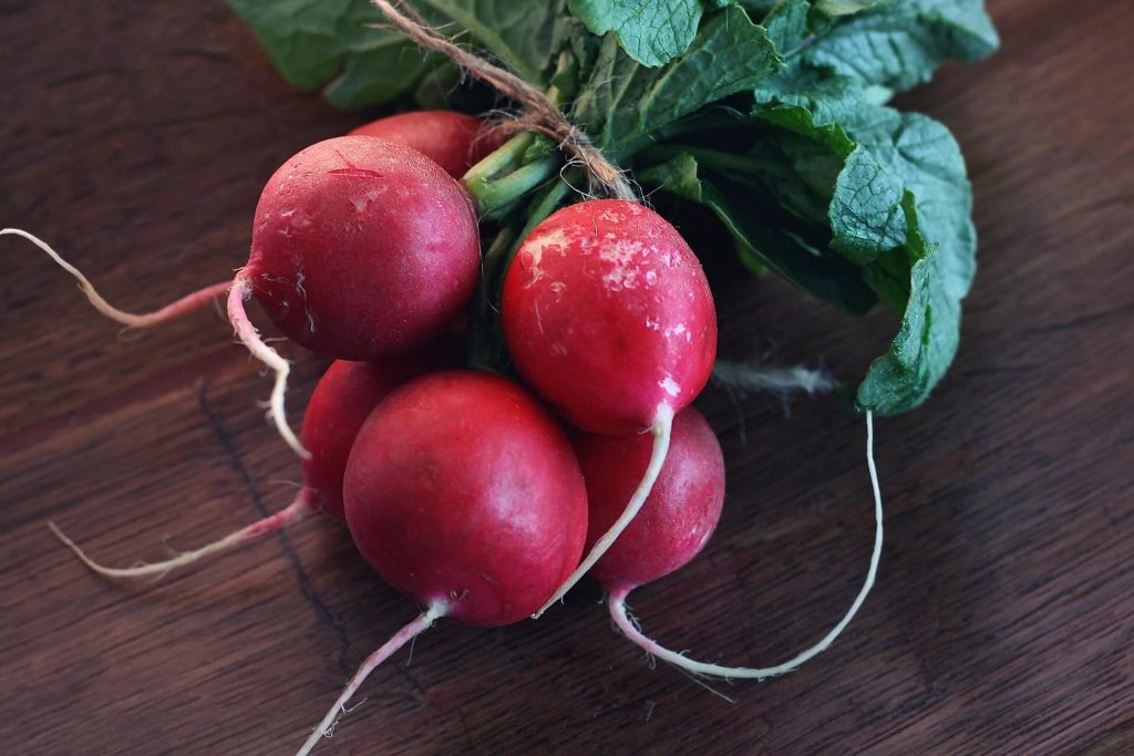 Radieschen aus dem Hochbeet im Herbst