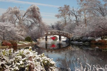 Der Garten im Dezember