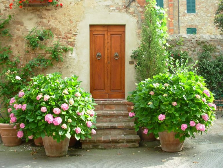 Pflanzkübel mit Hortensien vor dem Eingang