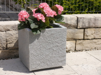 Komplettset 2-teilig: Pflanztrog ROCKS mit 4x Rollen, grau