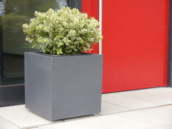 Pflanzkübel, Blumentopf, anthrazit ( Rollen optional) 50x50x50