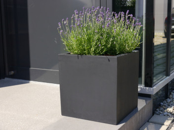 Pflanzkübel der BUNDESGARTENSCHAU, Fiberglas schwarz 50x50x50