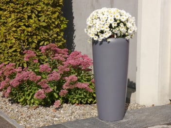 Pflanzkübel PLANTO, Fiberglas anthrazit