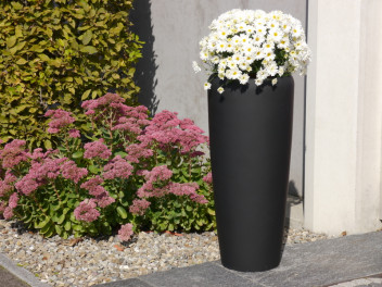 Pflanzkübel PLANTO, Fiberglas schwarz 30x90
