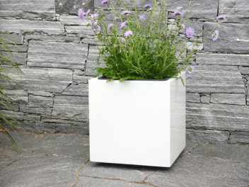 Pflanzkübel SUPREMO für Rollen, Fiberglas Hochglanz weiß 50x50x50