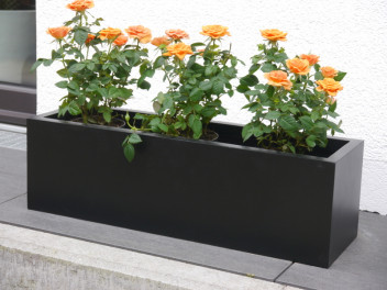 Pflanztrog SUPREMO, Pflanzkübel, Fiberglas schwarz 60x18x18