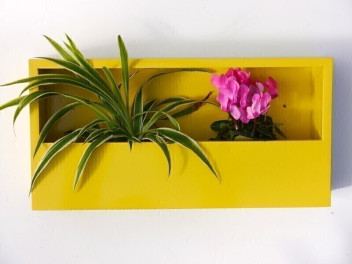 Wand-Pflanzkasten LINEA, gelb - jetzt reduziert