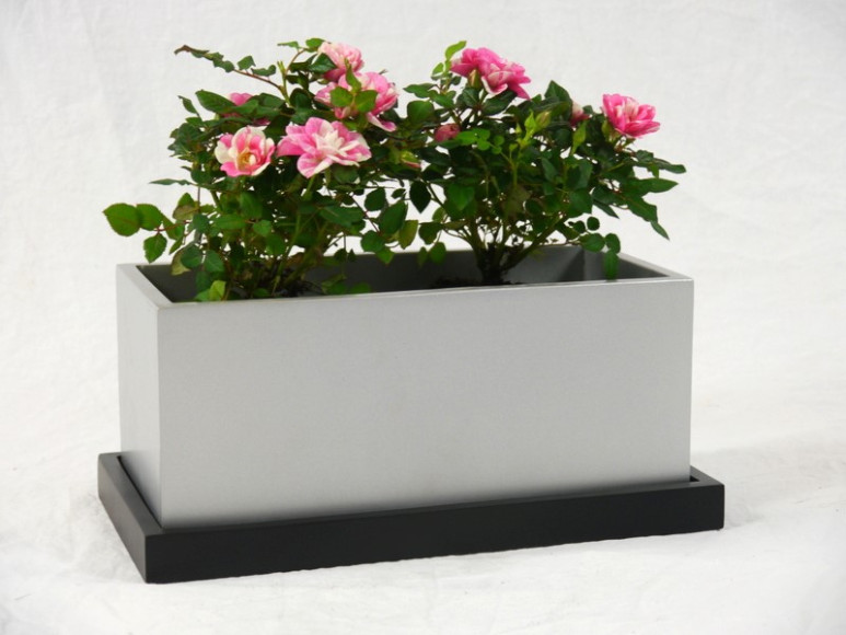 Blumentopf LEA mit Untersetzer- silber/schwarz - jetzt reduziert