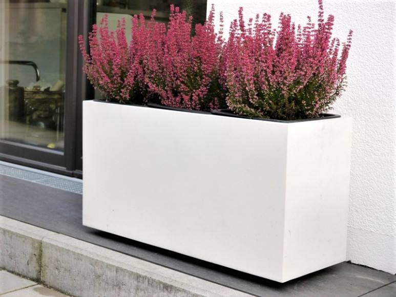 Pflanztrog SUPREMO, Fiberglas weiß (Rollen optional) 80x30x40