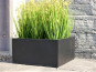 halbhoher Pflanzkübel MEZZO, Fiberglas schwarz 80x80x50 auf Anfrage!