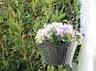 JETZT STARK REDUZIERT: 3er-Set Blumenampeln aus Polyrattan Ø30x16 cm + Ø25 x14 cm + Ø20x12cm in schwarz, mit Ketten und Innenfolie