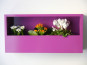 Wand-Pflanzkasten LINEA, violett 40x20x9