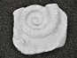 Gartendeko - VOGELBAD "AMMONITO" aus Fiberglas  - betongrau 47x51x16