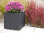 Pflanzkübel SUPREMO, Blumentopf, schwarz ( Rollen optional) 60x60x60