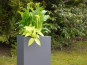 Pflanzkübel SUPREMO, TÜV-geprüft, Fiberglas anthrazit 30x30x60
