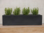 Pflanztrog FINO, Pflanzkübel, Fiberglas schwarz 60x18x18