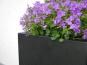 Blumenkübel MEGA der BUNDESGARTENSCHAU, schwarz 90x90x90