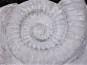 Gartendeko - VOGELBAD "AMMONITO" aus Fiberglas  - betongrau 47x51x16