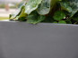 Pflanztrog der BUNDESGARTENSCHAU, Pflanzkübel, Fiberglas anthrazit 80x30x40