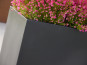 Komplettset 2-teilig: Pflanzkübel mit Untersetzer, Fiberglas schwarz 100x40x50