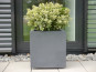 Pflanzkübel, Blumentopf, anthrazit ( Rollen optional) 50x50x50