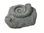 Gartendeko - VOGELBAD "AMMONITO" aus Fiberglas  - betongrau 47x51x16