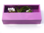 Wand-Pflanzkasten LINEA, violett 40x20x9