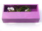 Wand-Pflanzkasten LINEA, violett - jetzt reduziert 40x20x9