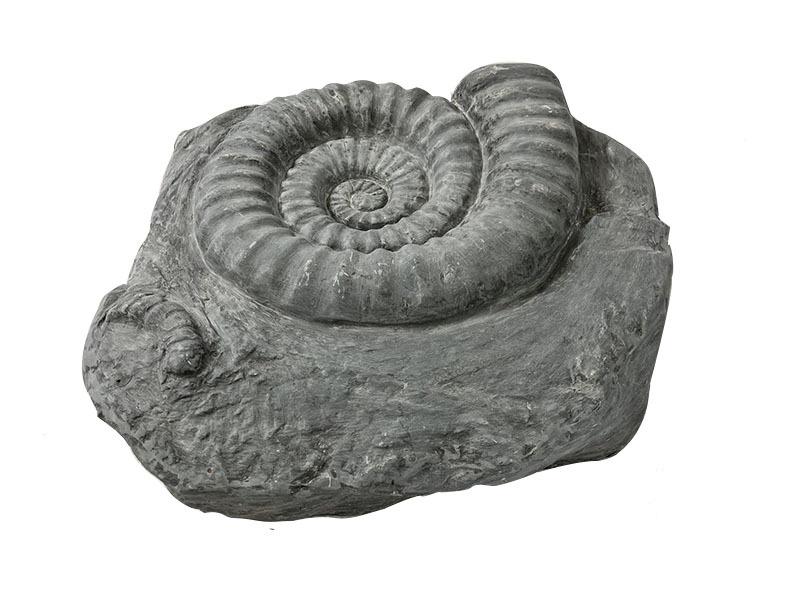 Gartendeko - VOGELBAD "AMMONITO" aus Fiberglas  - betongrau 47x51x16