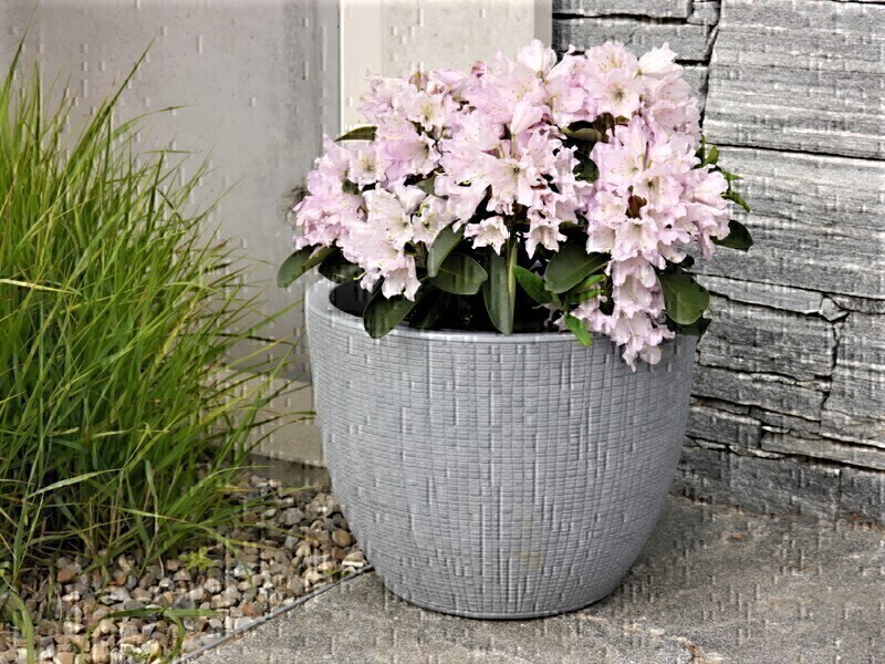 Pflanzkübel ARUNDO, betongrau *REDUZIERT/ABVERKAUF* 