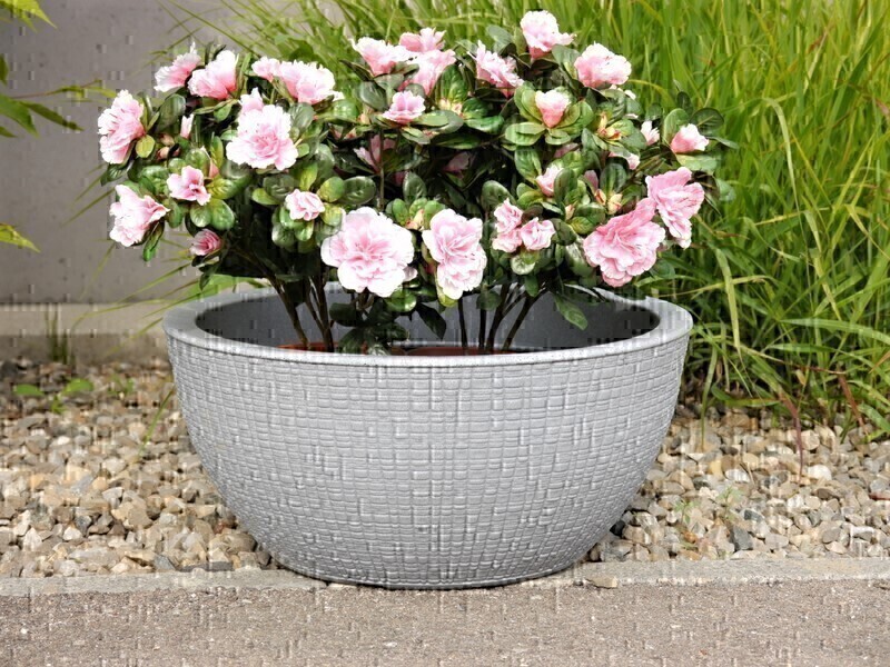Pflanzschale FIONA, betongrau *REDUZIERT/ABVERKAUF* 