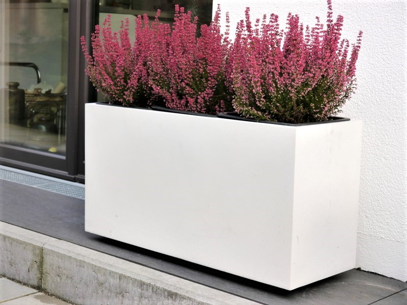 Pflanztrog SUPREMO, Fiberglas weiß (Rollen optional) 80x30x40