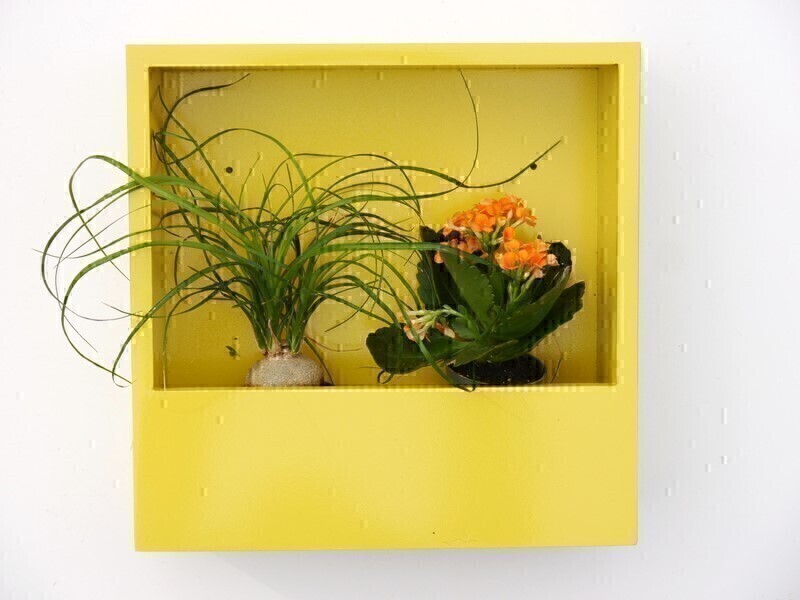 Wand-Pflanzkasten LINEA, gelb - jetzt reduziert 28x28x9