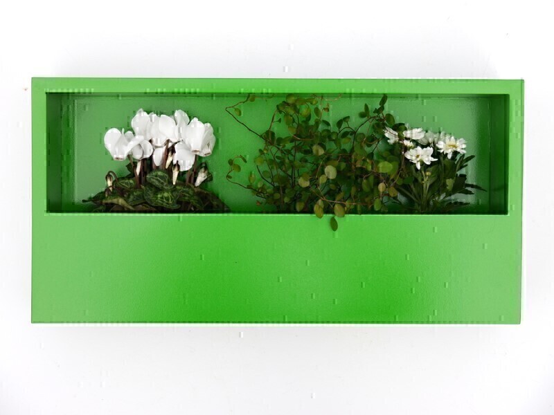 Wand-Pflanzkasten LINEA, grün - jetzt reduziert 40x20x9