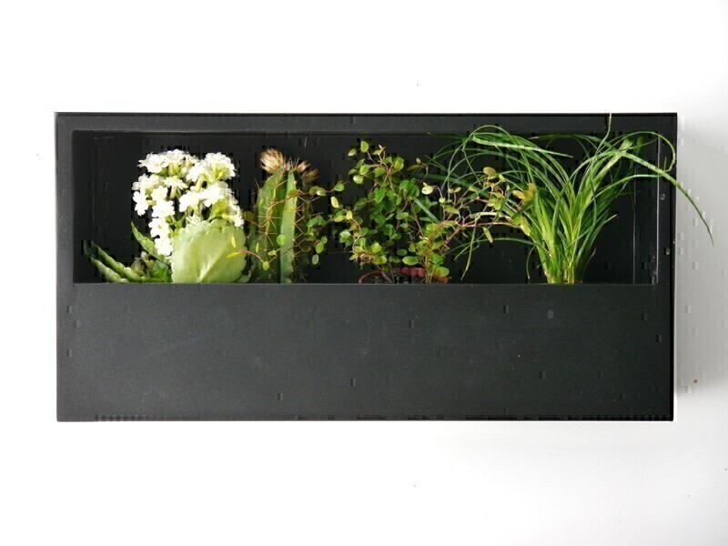 Wand-Pflanzkasten LINEA, schwarz - jetzt reduziert 40x20x9