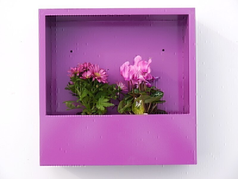 Wand-Pflanzkasten LINEA, violett - jetzt reduziert 28x28x9