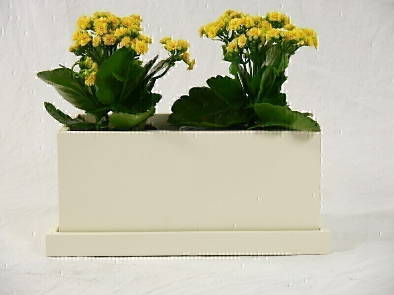 Blumentopf LEA mit Untersetzer- cremeweiß 