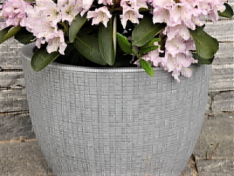 Pflanzkübel ARUNDO, betongrau *REDUZIERT/ABVERKAUF* 