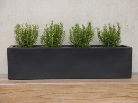 Pflanztrog FINO, Pflanzkübel, Fiberglas schwarz 60x18x18