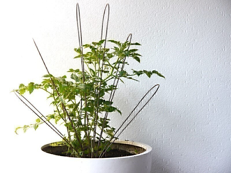 Rankgitter FONTANA aus Cortenstahl, rostfarben 