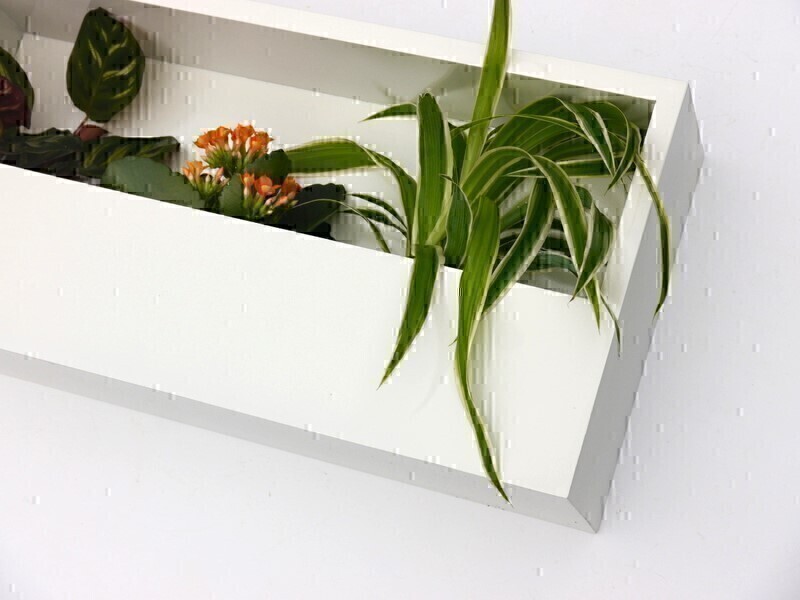 Wand-Pflanzkasten LINEA, weiß - jetzt reduziert 40x20x9