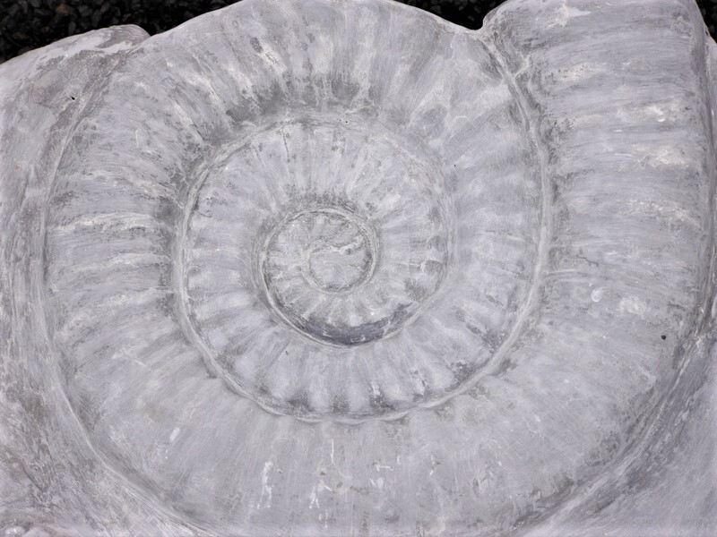 Gartendeko - VOGELBAD "AMMONITO" aus Fiberglas  - betongrau 47x51x16