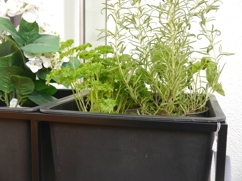 Hochbeet/Pflanzkübel SOLANO, schwarz - jetzt reduziert 54x27x65