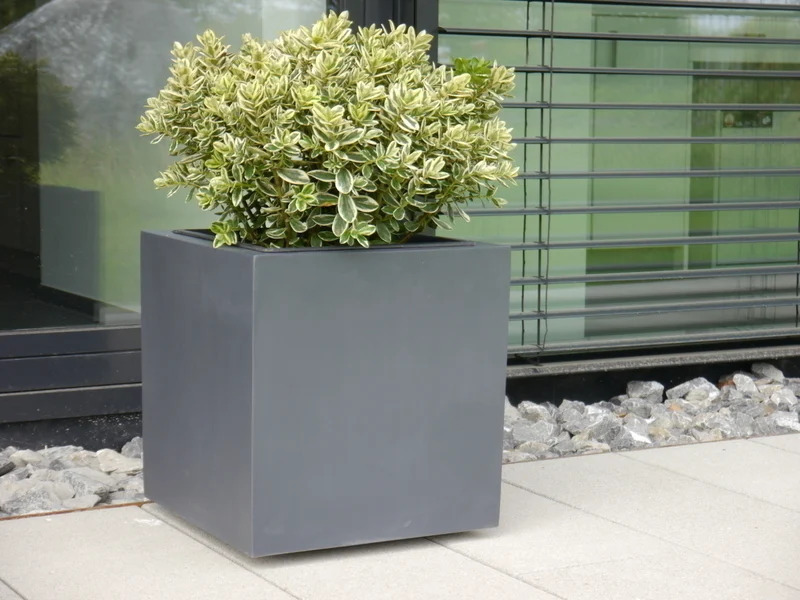 Komplettset 2-teilig: Pflanzkübel mit Roller, Fiberglas anthrazit 50x50x50