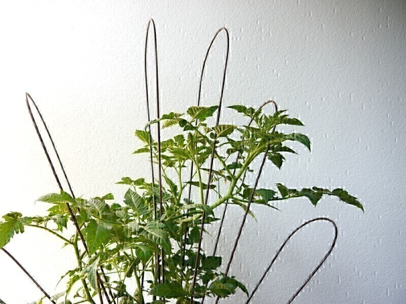 Rankgitter FONTANA aus Cortenstahl, rostfarben 